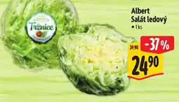 Albert Albert Salát ledový nabídka