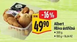 Albert Albert Hlíva ústřičná nabídka