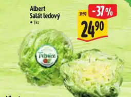 Albert Albert Salát ledový nabídka