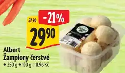Albert Albert Žampiony čerstvé nabídka