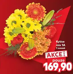 Kaufland Kytice mix 1A nabídka