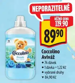 Albert Coccolino Aviváž nabídka