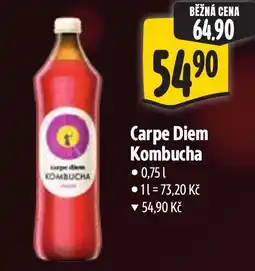 Albert Carpe Diem Kombucha nabídka