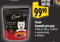 Albert Cesar Granule pro psy nabídka
