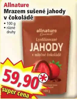 Norma Allnature mrazem sušené jahody v čokoládě nabídka