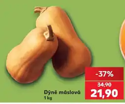 Kaufland Dýně máslová nabídka