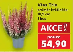 Kaufland Vřes Trio nabídka