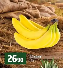 Terno Banány nabídka
