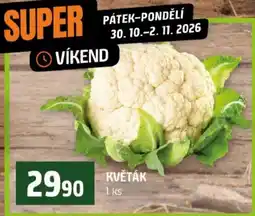 Terno Květák nabídka