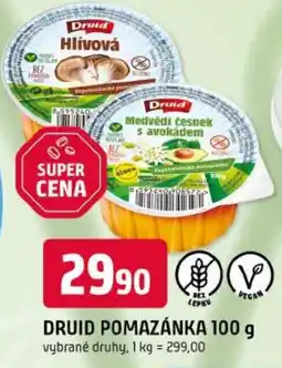 Trefa Druid pomazánka nabídka