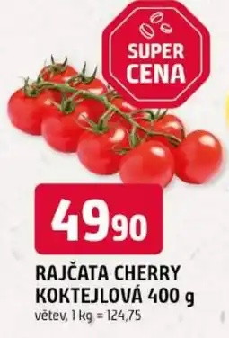 Trefa Rajčata cherry koktejlová nabídka
