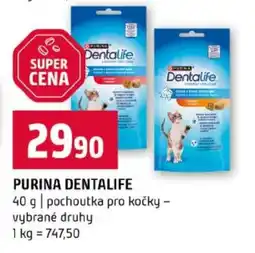 Terno Purina dentalife nabídka