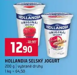 Terno Hollandia selský jogurt nabídka