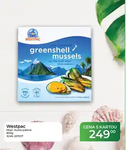 Tamda Foods Westpac mraž. mušle půlené nabídka