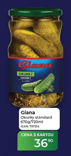 Tamda Foods Giana okurky standard nabídka
