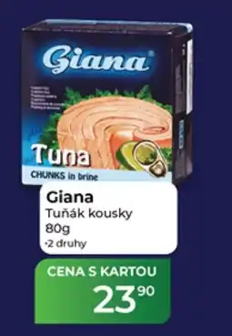 Tamda Foods Giana tuňák kousky nabídka