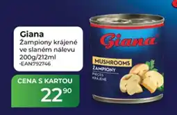 Tamda Foods Giana žampiony krájené nabídka