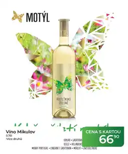 Tamda Foods Motýl Víno Mikulov nabídka