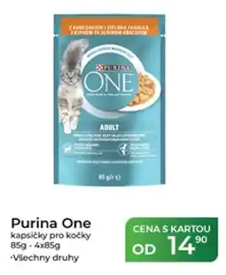 Tamda Foods Purina One kapsičky pro kočky nabídka