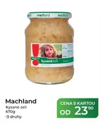Machland kysané zelí