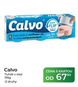 Tamda Foods Calvo tuňák v oleji nabídka