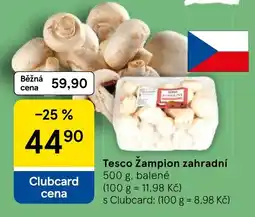 Tesco Tesco Žampion zahradní nabídka