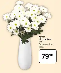 Tesco Kytice chryzantém nabídka