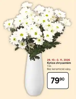 Tesco Kytice chryzantém nabídka