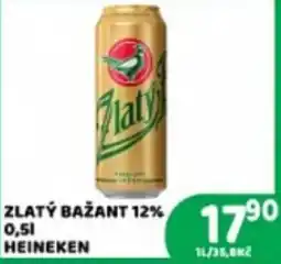 Brněnka Heineken Zlatý Bažant nabídka