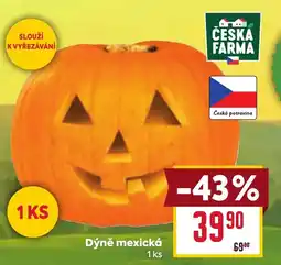 Billa Česká farma dýně mexická nabídka