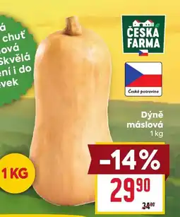 Billa Česká farma dýně máslová nabídka