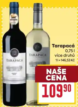 Billa Tarapacá nabídka