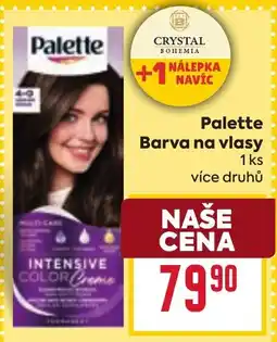 Billa Palette Barva na vlasy nabídka