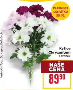 Billa Kytice Chryzantém nabídka