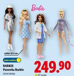Lidl BARBIE Panenka Barbie, různé druhy nabídka