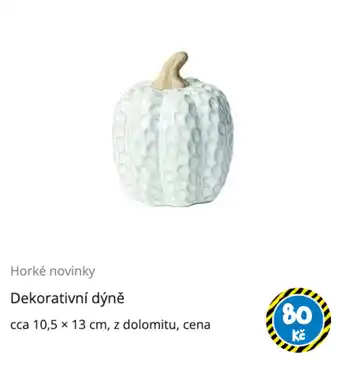 Dekorativní dýně