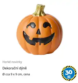 TEDi Dekorační dýně nabídka