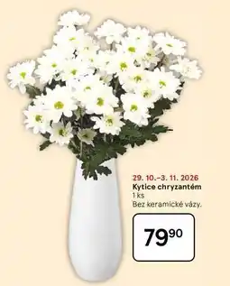 Tesco Kytice chryzantém, 1 ks, Bez keramické vázy nabídka