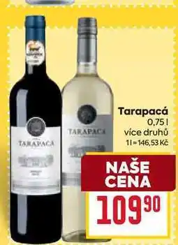 Billa Tarapacá nabídka