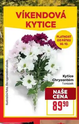 Billa Kytice Chryzantém 1 svazek nabídka