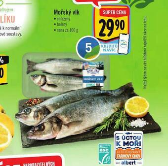 Albert Mořský vlk nabídka