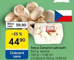 Tesco Tesco Žampion zahradní nabídka