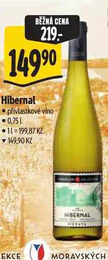 Albert Hibernal nabídka