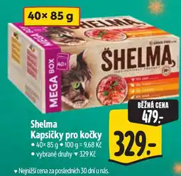 Albert Shelma kapsičky pro kočky nabídka