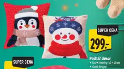 Albert Polštář dekor nabídka