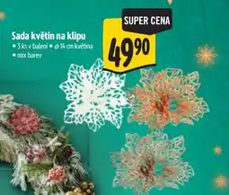 Albert Sada květin na klipu nabídka
