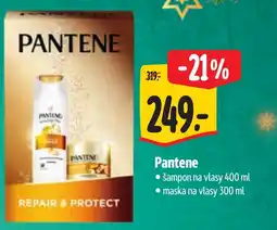 Albert Pantene nabídka