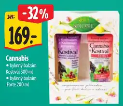Albert Cannabis bylinný balzám nabídka