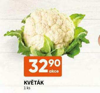 Terno Květák nabídka