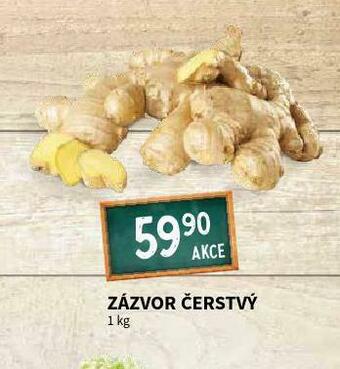 Terno Zázvor čerstvý nabídka